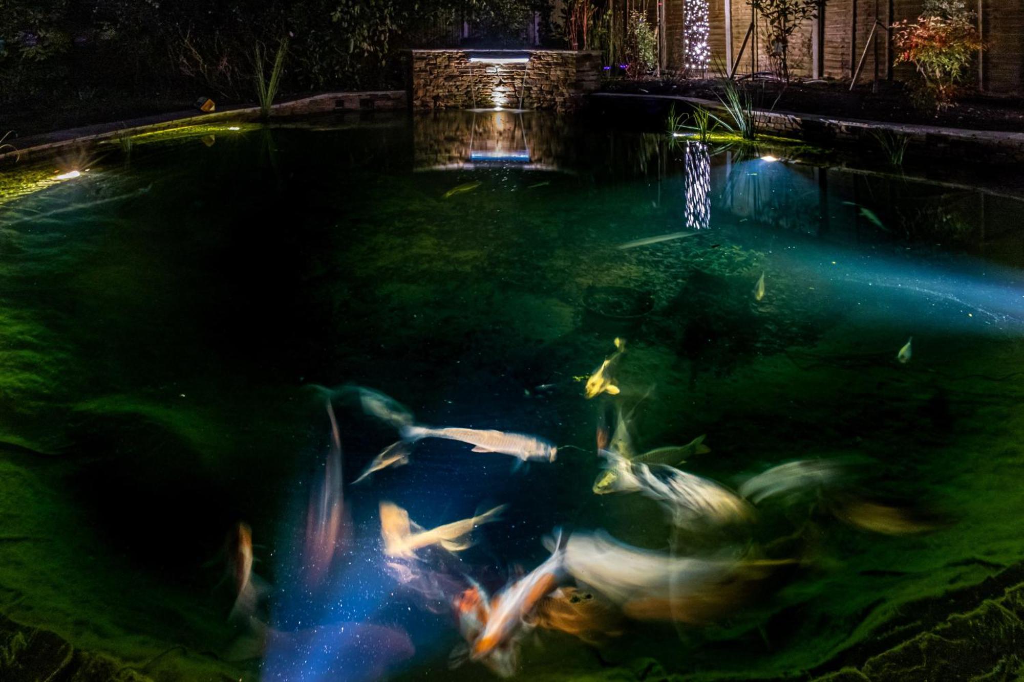 Asperion Hillside Hotel جيلدفورد المظهر الخارجي الصورة